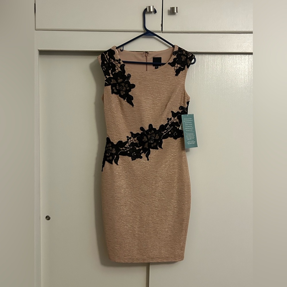 nwt Chic Pink Dress with Black Lace Accents